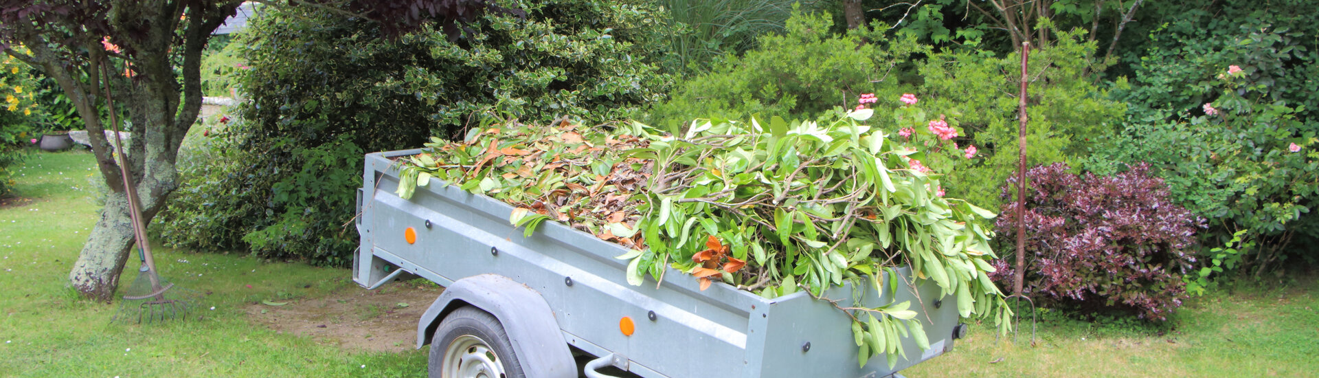 Albias Environnement Déchets Verts Raticide Souricide